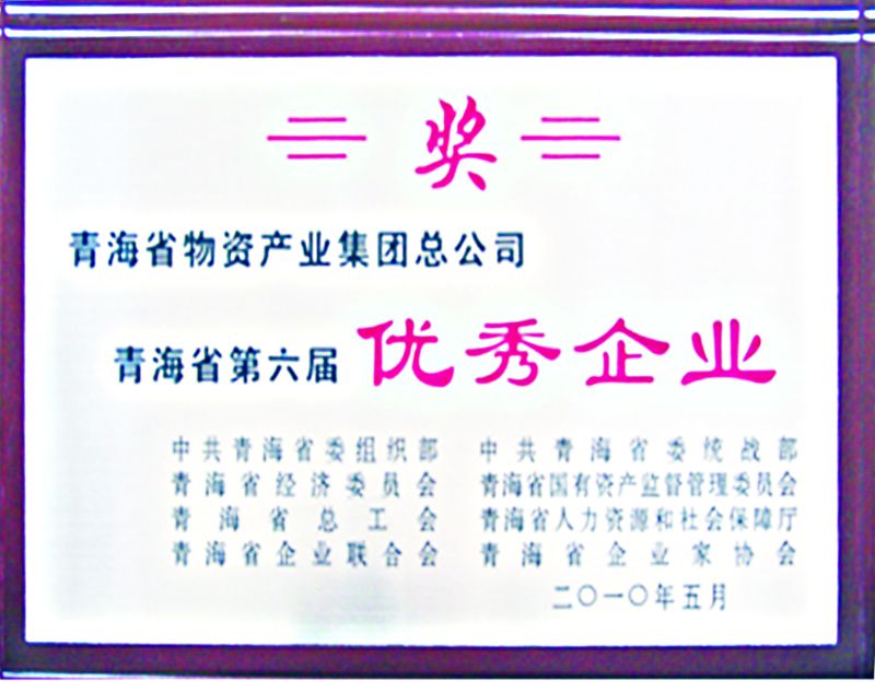 青海省第六届优秀企业